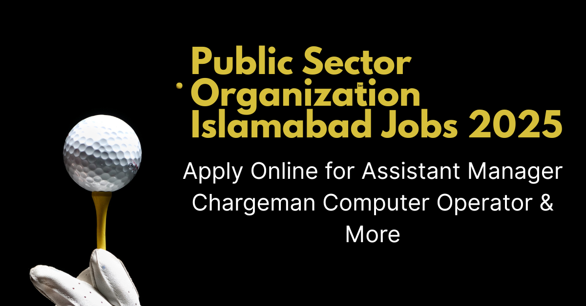 Public Sector Organization