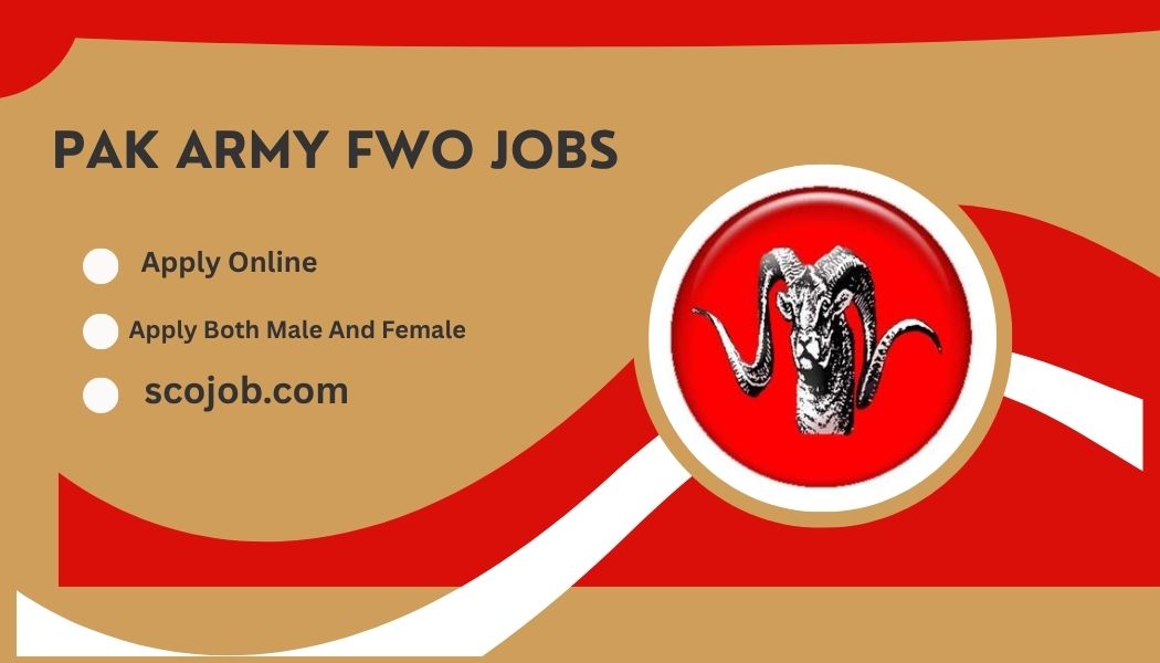 Pak Army Frontier Works Organization FWO Jobs 2025